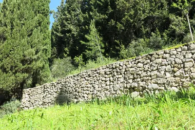 Mur en pierre sèche — domaine viticole